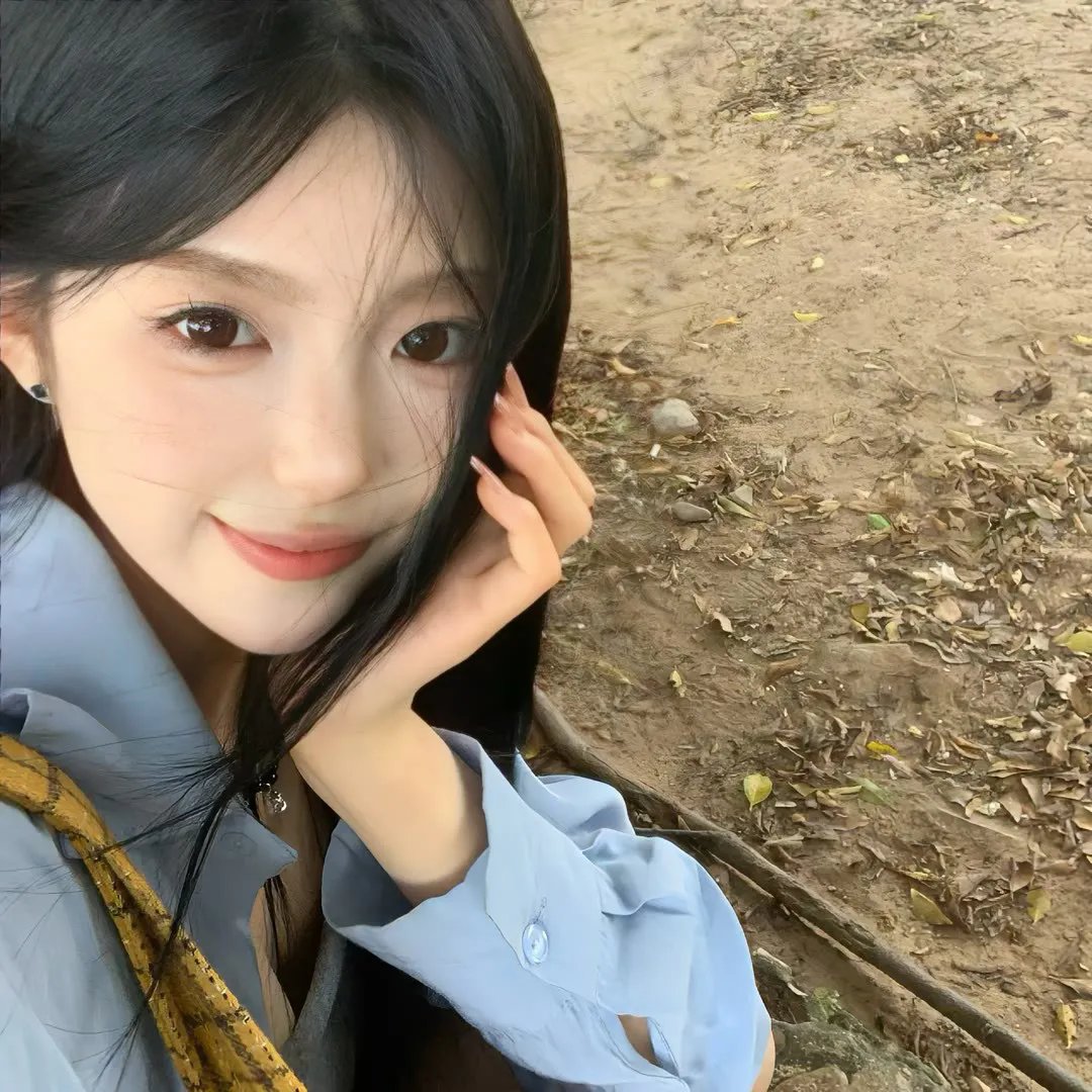 官能的法则